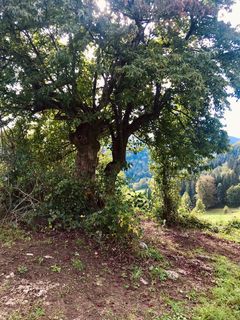 Foto von Kellner Heidi entlang der Tour