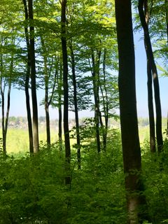 Foto de Kellner Heidi a lo largo del recorrido