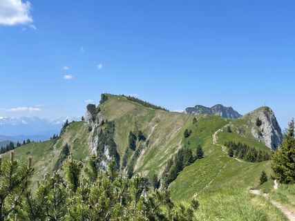 Foto von Simone Maier entlang der Tour