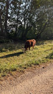 Foto von Martin Temm entlang der Tour