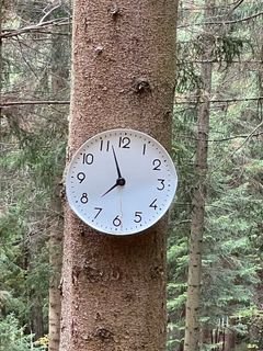 Foto von Norbert Herbig entlang der Tour