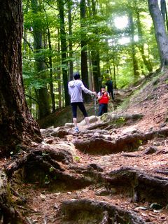 Fotografia z Kellner Heidi na trase