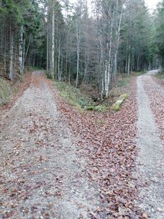 Photo de Derschowieder le long du parcours