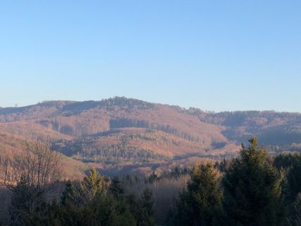 Foto de Barbara Schober a lo largo del recorrido