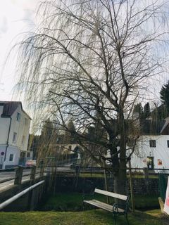 Foto von Kellner Heidi entlang der Tour