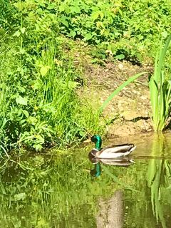 Fotografie z Kellner Heidi na trase