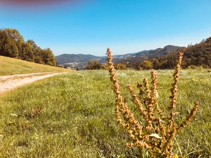 Foto von Kellner Heidi entlang der Tour