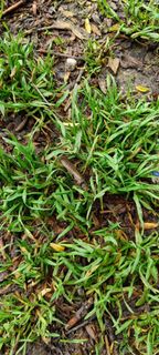 Foto von Anna entlang der Tour