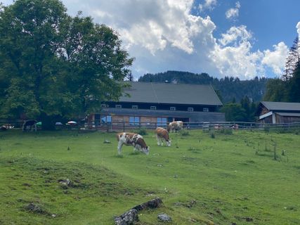 Foto von Christoph Pohanka entlang der Tour