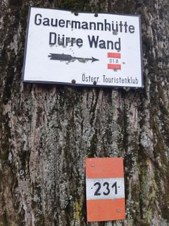 Photo de mmecki le long du parcours