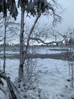 Foto de Dragana Martinovic a lo largo del recorrido