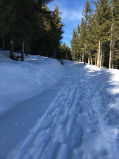 Foto von Mario Poandl entlang der Tour