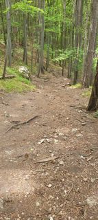 Photo de Nicky le long du parcours