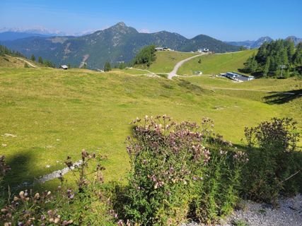Fotografija s spletne strani mmecki na poti