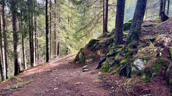 Foto von Katja Hechler entlang der Tour