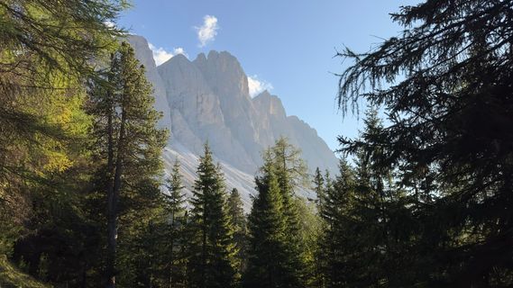 Foto de ROBERTO BONIOTTI a lo largo del recorrido