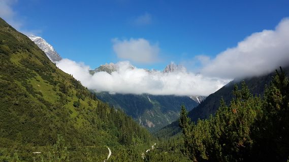 Foto von Tor Fich entlang der Tour