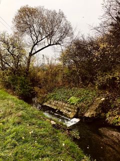 Foto de Kellner Heidi a lo largo del recorrido