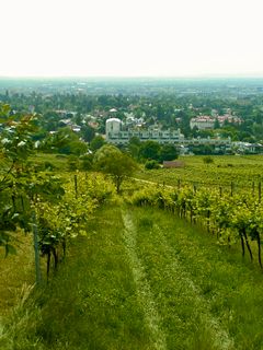 Foto von Kellner Heidi entlang der Tour