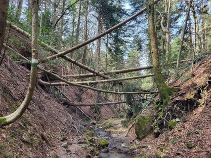 Fotografija s spletne strani Josef Stein na poti