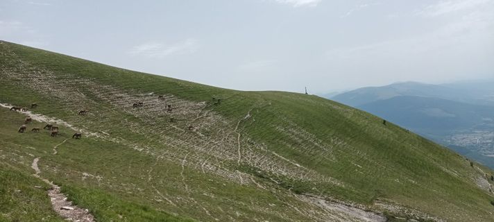 Foto von Gabriele Cucchi entlang der Tour