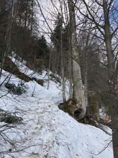 Fotografie z Jan Nyffenegger na trase