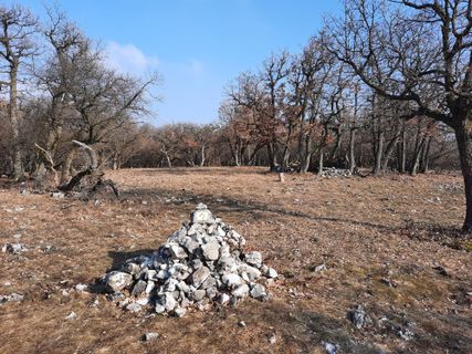 Fotografie z Ferenc Kiss na trase