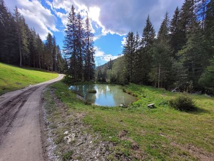 Photo de mmecki le long du parcours