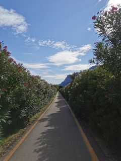 Foto von Hari Schrittwieser entlang der Tour