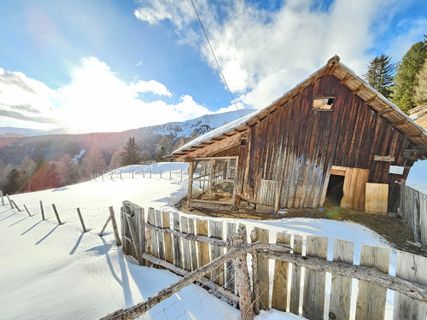 Fotografie z Linda Stefanits na trase