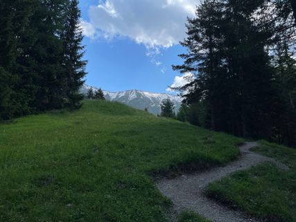 Photo de Carsten Breitfeld le long du parcours