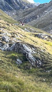 Photo de Katja Hechler le long du parcours