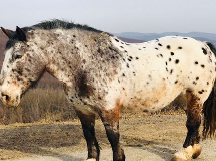 Foto de Kellner Heidi a lo largo del recorrido