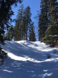 Fotografie z Heikoala na trase