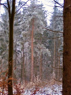 Fotografie z Kellner Heidi na trase
