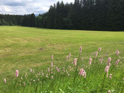 Foto von Ute Mecheels entlang der Tour