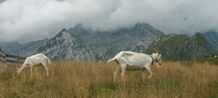 Foto de Gabriele Cucchi a lo largo del recorrido