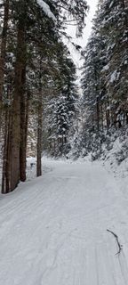 Foto de Anna a lo largo del recorrido