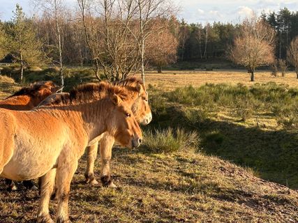 Fotografie z Norbert Herbig na trase