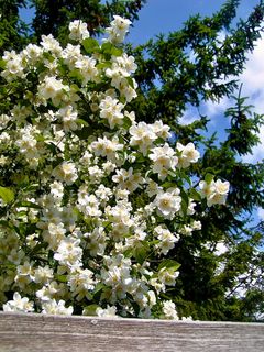 Foto von Kellner Heidi entlang der Tour
