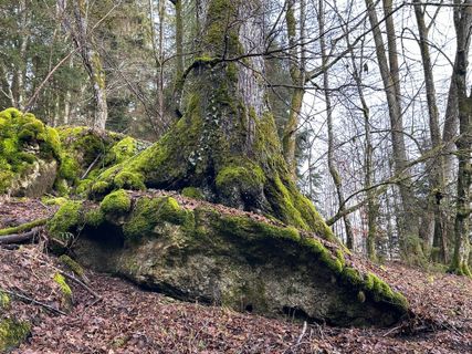 Photo de Norbert Herbig le long du parcours