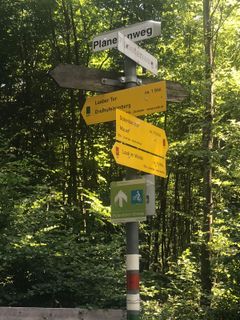Photo de Kellner Heidi le long du parcours