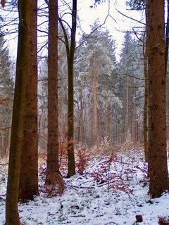 Fotografie z Kellner Heidi na trase