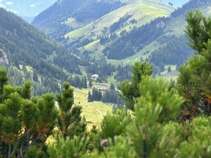 Photo de Norbert Herbig le long du parcours