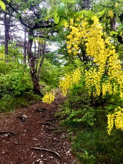 Fotografie z Kellner Heidi na trase