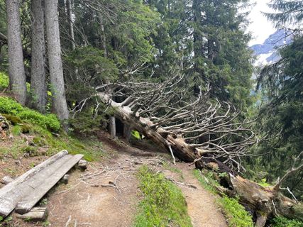 Photo de Raik Strassas le long du parcours