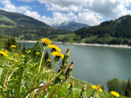 Photo de Freddy Taal le long du parcours