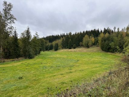 Foto de Norbert Herbig a lo largo del recorrido