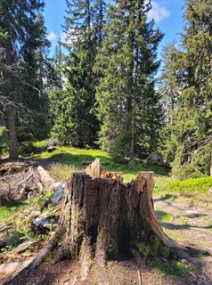 Photo de mmecki le long du parcours