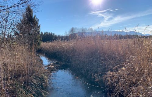 Foto de Kerstin Müller a lo largo del recorrido